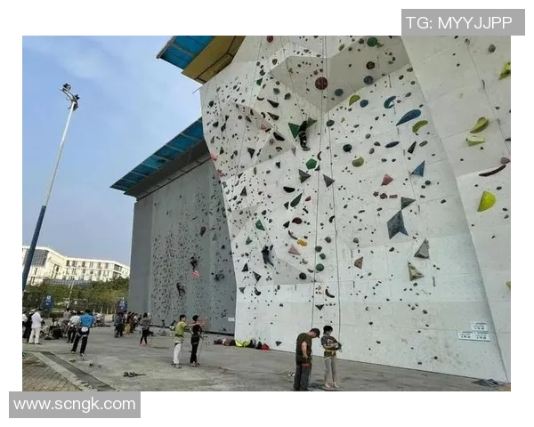 广州攀岩队心理素质引发热议与争议背后的深层原因探讨